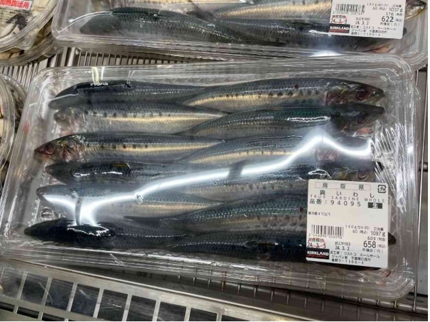 コストコ「鳥取県産 真いわし」