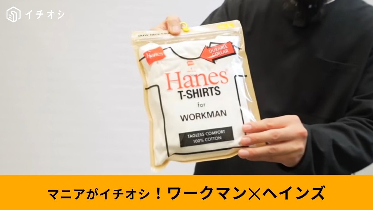 【ワークマン2026年】春夏新作に「ヘインズコラボ」登場！「本家超えの肉厚感？」で30代・40代も着やすい