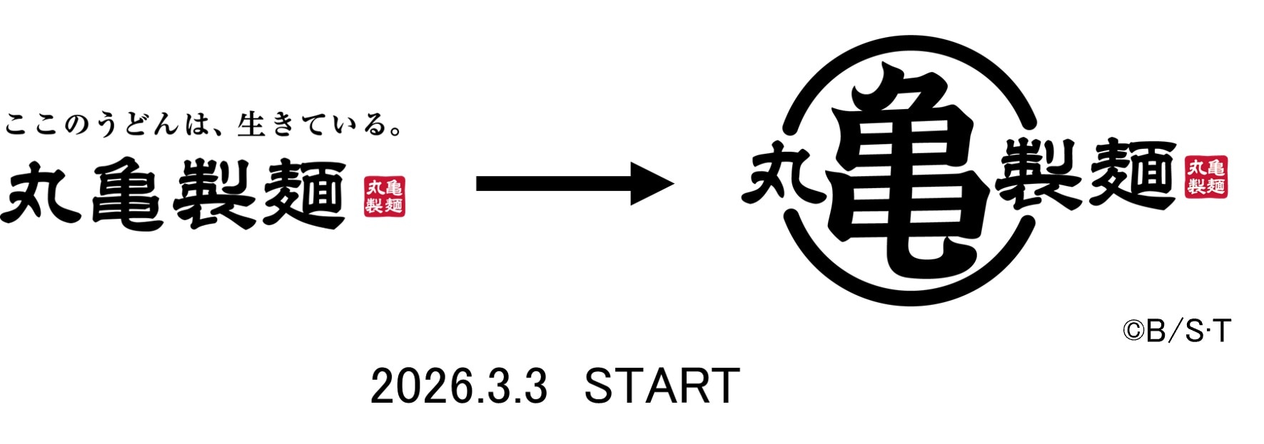 ※1 コラボ正式名称は亀を丸で囲んだもの。読みは「まるかめせいめん」。