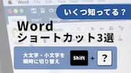 Wordの書式クリア時短テクニック