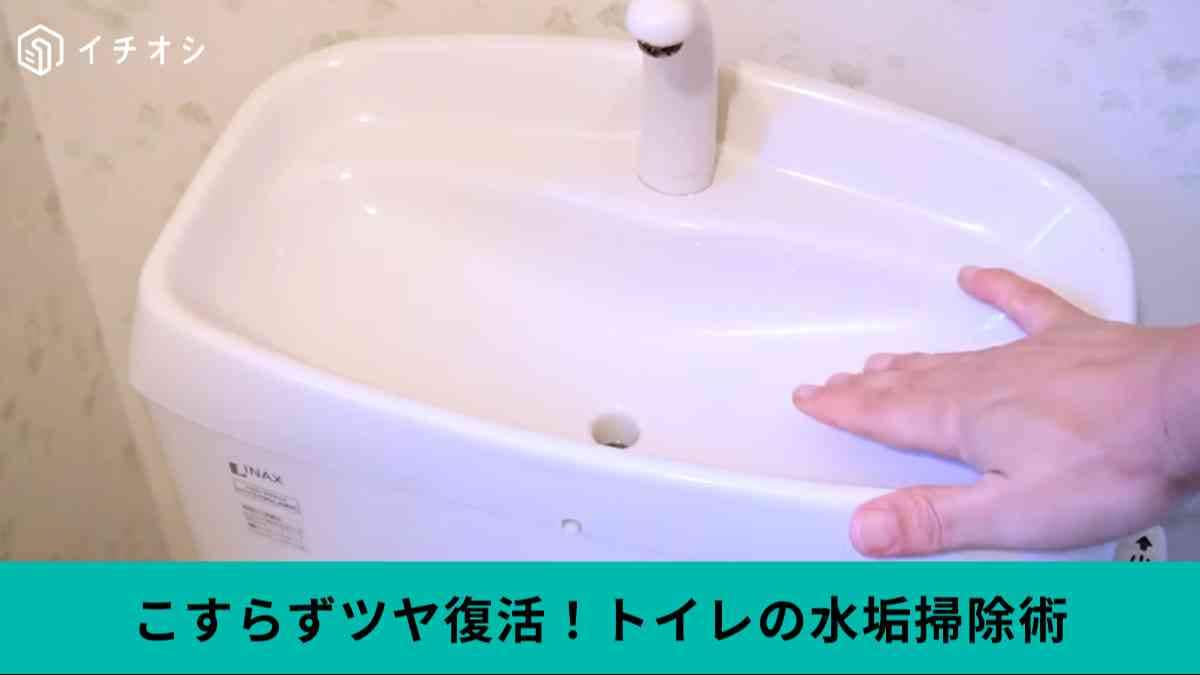 プラスチックのトイレの上掃除