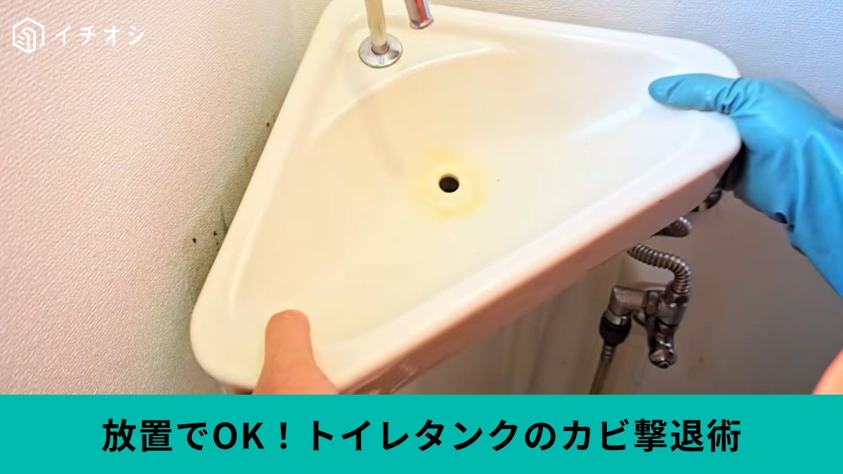 【プロの掃除術】トイレのニオイ、原因はタンクかも？あの洗剤を「塗って放置」で黒カビを消し去る神ワザ