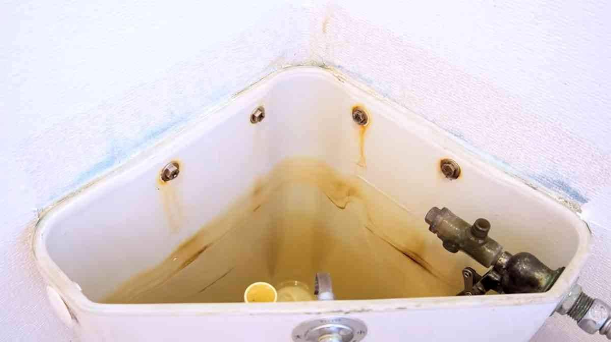 トイレタンクの黒カビ撃退法