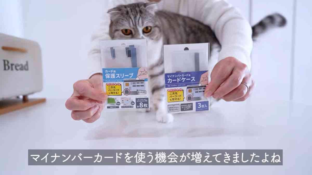 キャンドゥ┃カードケース
