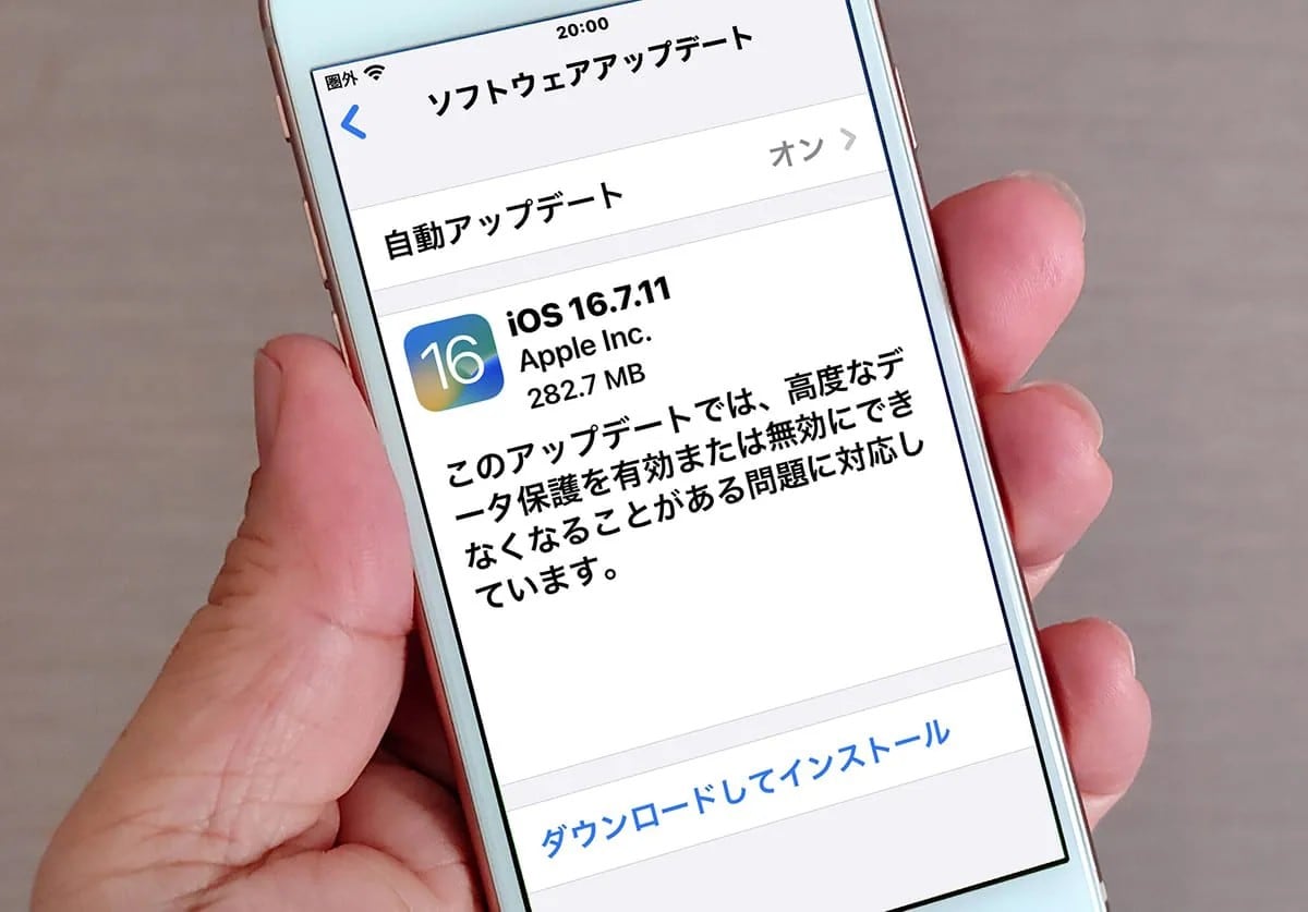 本当の寿命