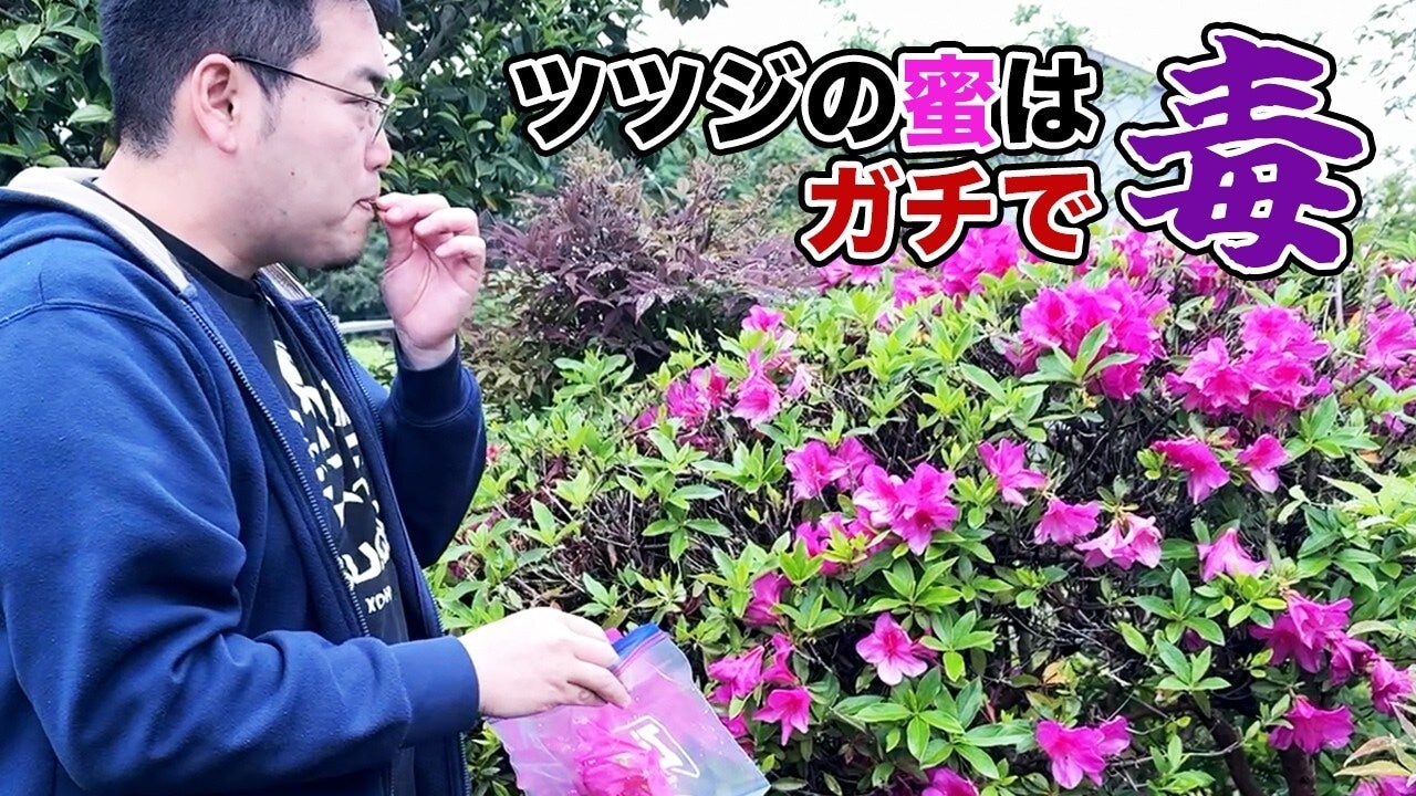 画像出典：YouTube（https://www.youtube.com/watch?v=BKLc3PCjbzo）