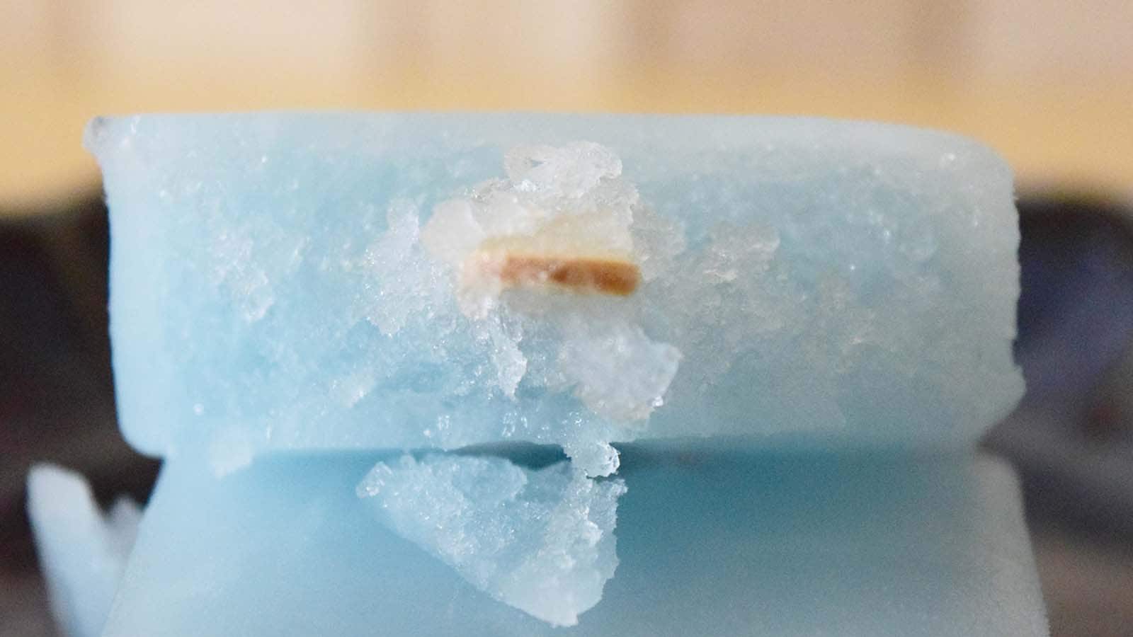 ガリガリとした食感が楽しめます