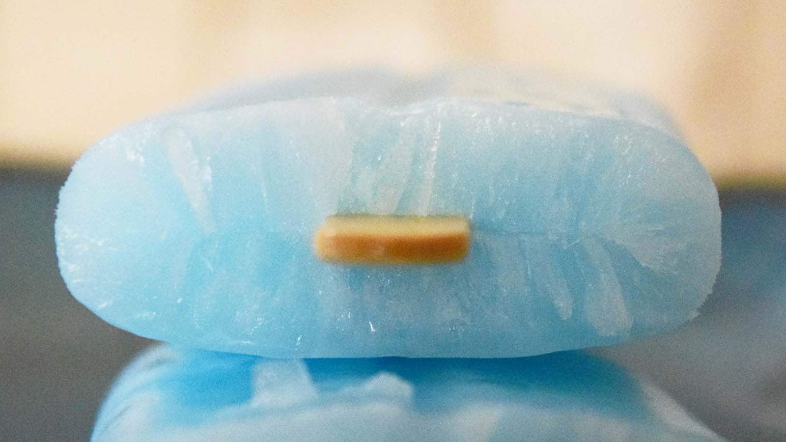 シャリっとした食感ながら口の中ですっと溶けるような清涼感が特徴