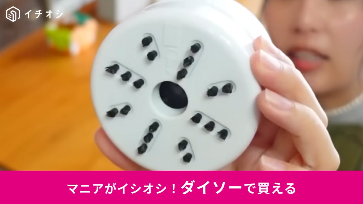 �ڥ��������ۡȽФ��äѤʤ���������550�ߤΡ���奯�꡼�ʡ��פǥ��ߤ��֤Ƿ��ࡪ