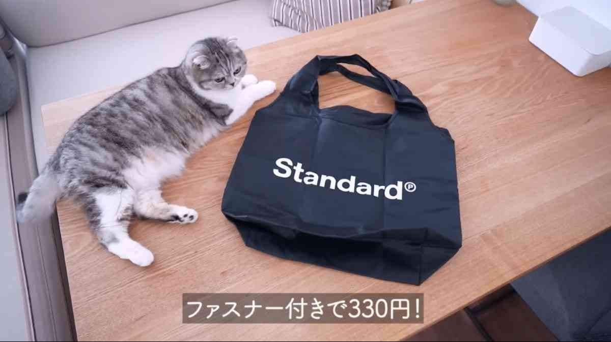 ����������ɥץ������Ĩ����䥷��åԥ󥰥Хå�