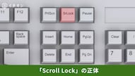 キーボードのInsertやNumLockなどの謎キートラブル解消法を解説する記事イメージ