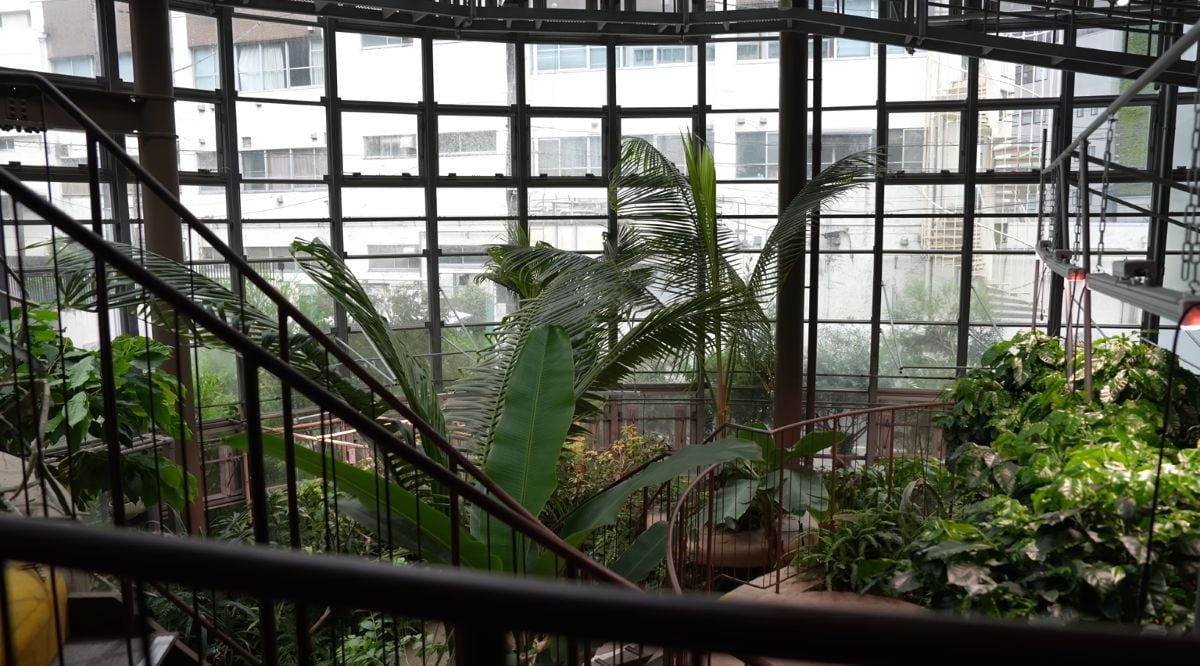 渋谷区ふれあい植物センター
