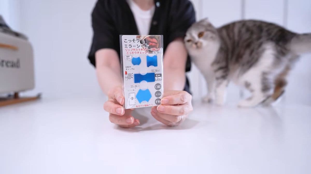 セリアこっそりミラー