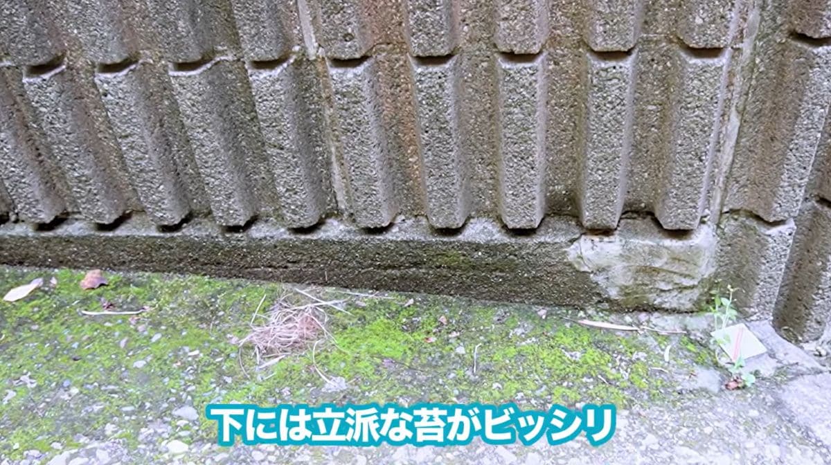 頑固なコケやカビを一掃！高圧洗浄機で擁壁をピカピカに