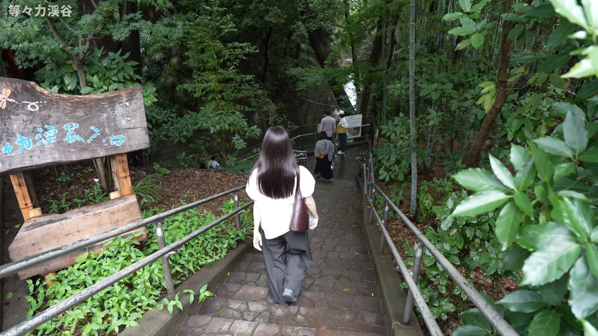等々力渓谷