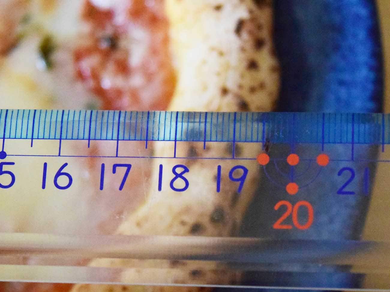 直径は約19cm