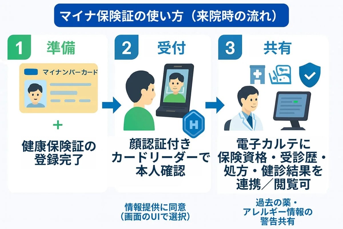 2028年導入予定！ 新しい「マイナンバーカード」は何が変わる？ 