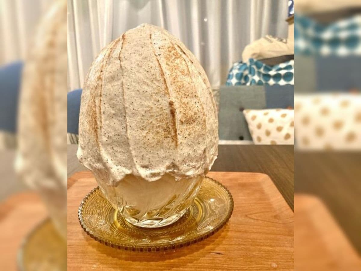 華やかな見た目が魅力のミルクティー焼き氷