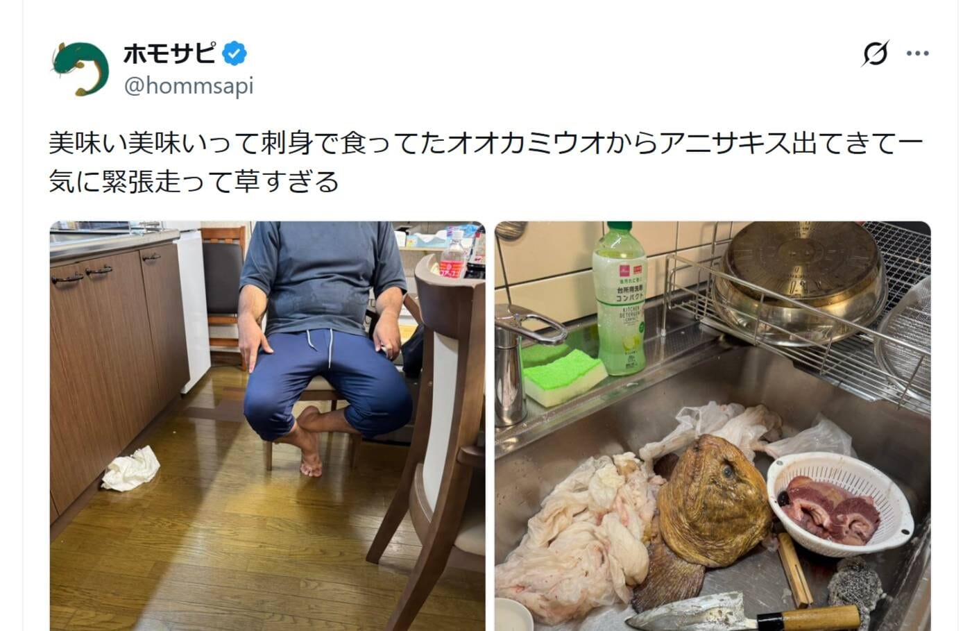 画像出典：X（https://x.com/hommsapi/status/2092580926308208714）