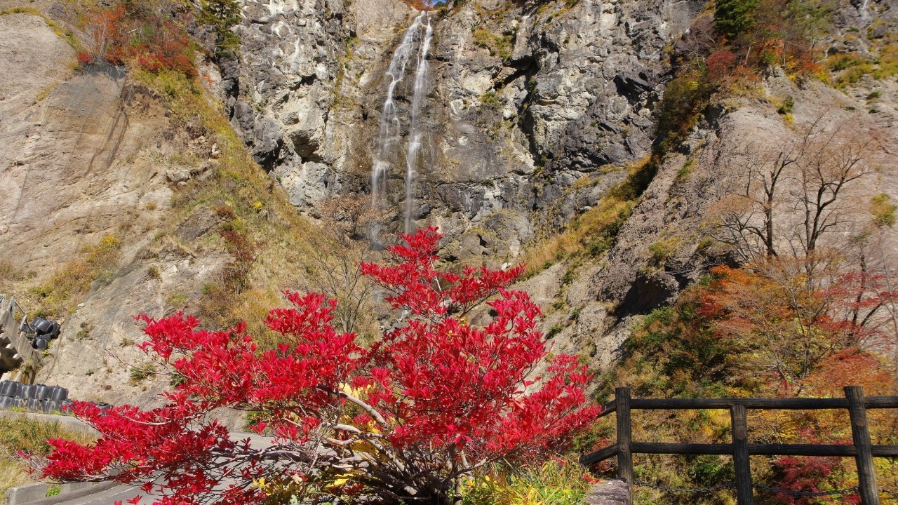 秋の白山