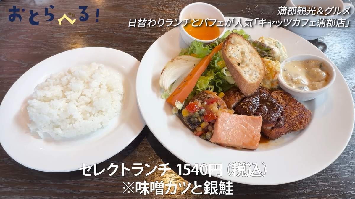 キャッツカフェ