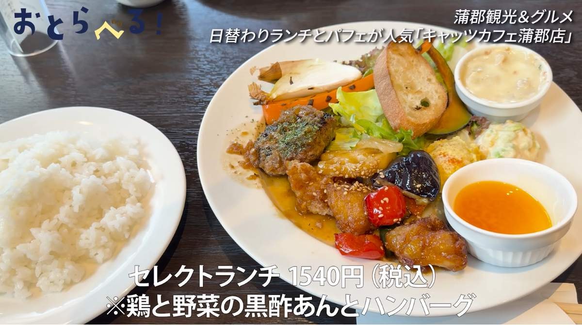 キャッツカフェ