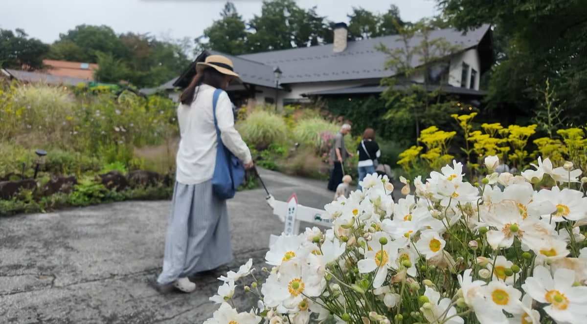 萌木の村