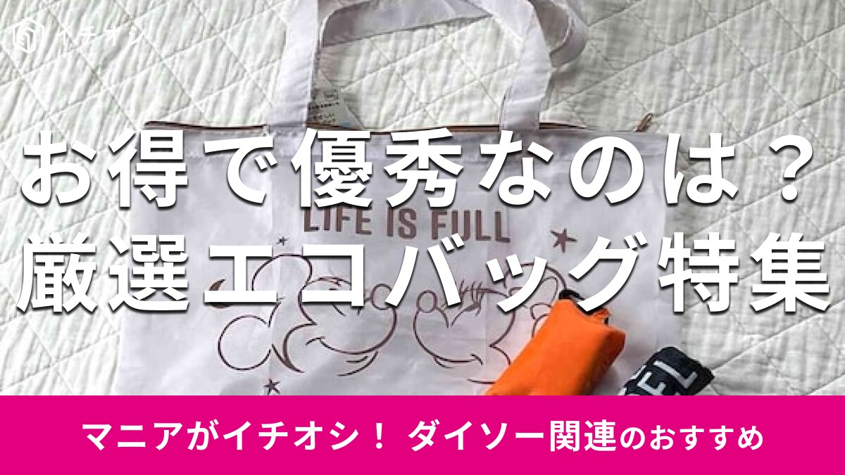 100均ダイソーの「エコバッグ」のおすすめ6種類！保冷＆保温用、大きいサイズは？