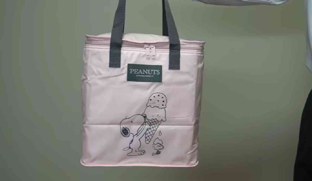 【雑誌付録】スヌーピーやミッフィーも！夏も気分が上がる「保冷バッグ」3選・買い物やBBQに使える～