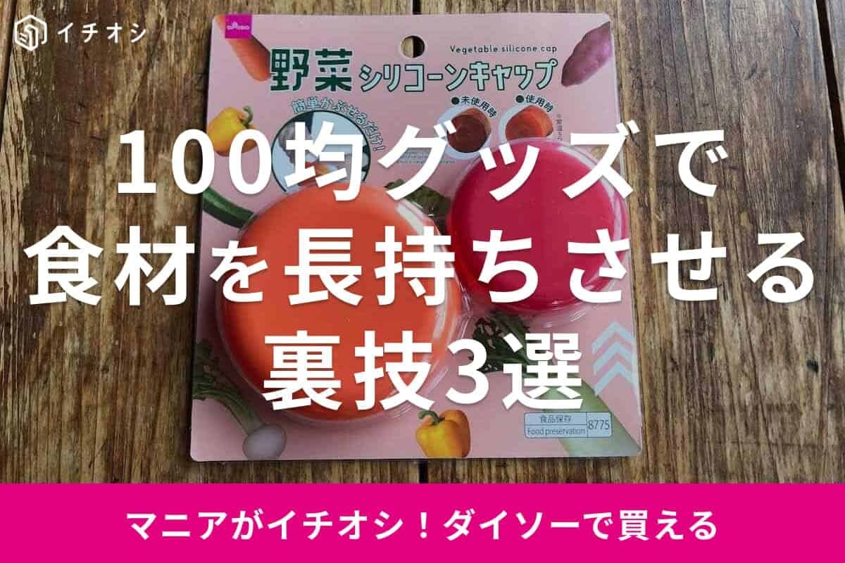 【ダイソーランキング】夏場の食品ロスを減らす！100均グッズで食材を長持ちさせる裏技術
