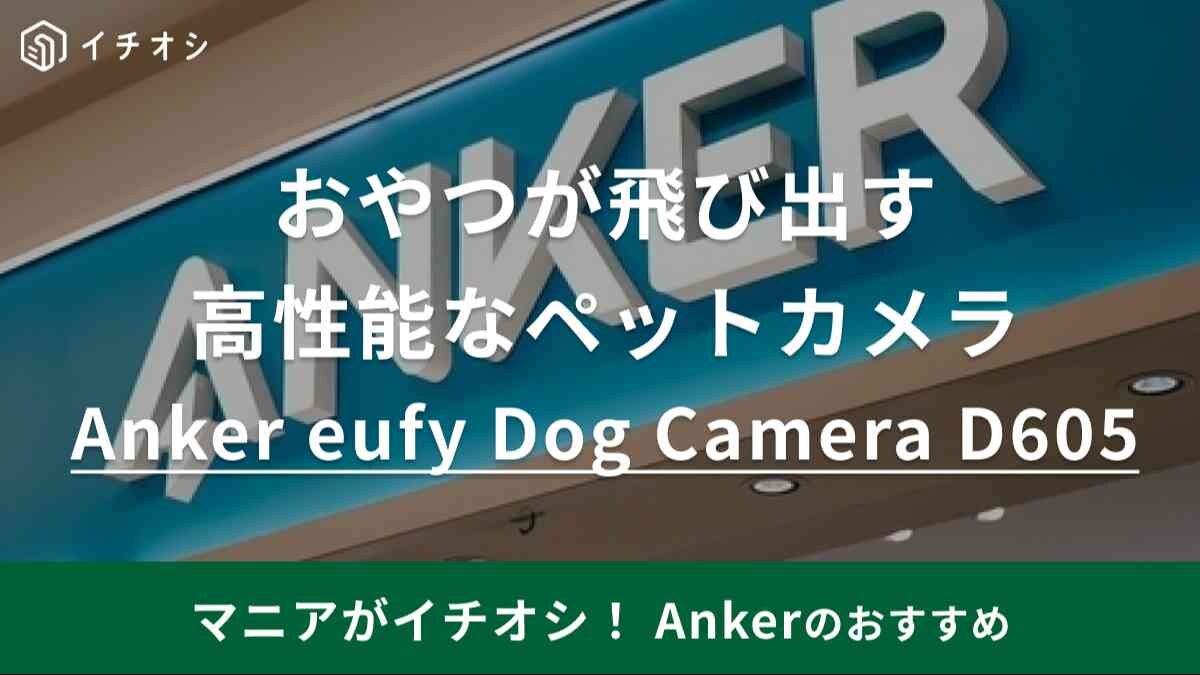 愛犬や愛猫は留守番中何してるの？【Anker】AI搭載ペットカメラは遠隔でおやつもあげられるハイテク機械！