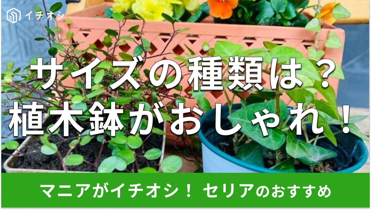 【100均】セリアの植木鉢がおしゃれでかわいい！サイズ・デザイン・色の種類【最新版】