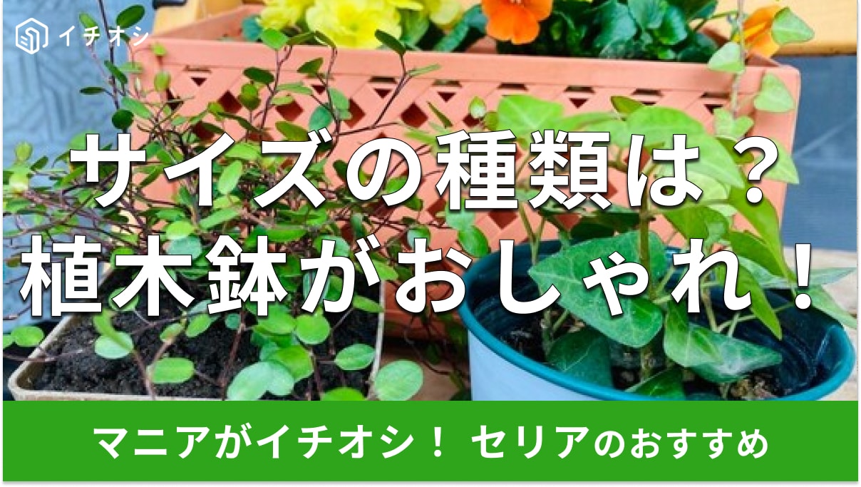 これが100円でいいの!?セリアの「植木鉢」で部屋が垢抜ける！サイズ、色、デザイン別プランター【最新版】