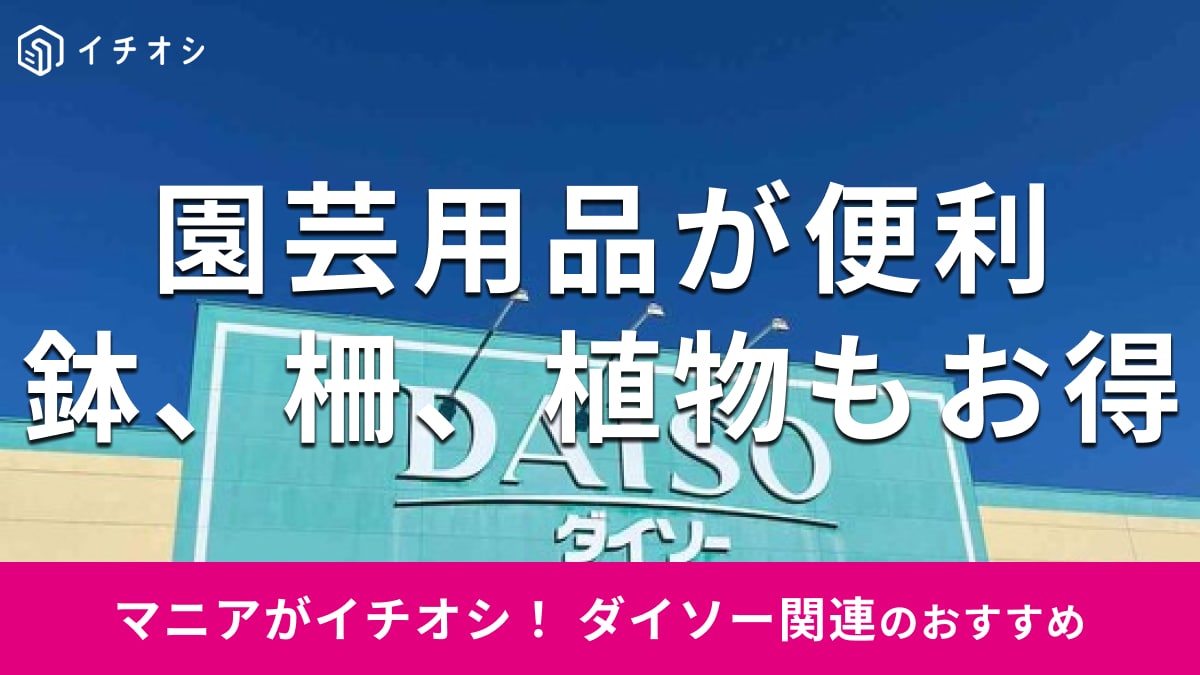 【100均】ダイソーの園芸用品・ガーデニンググッズ3選！初心者にもおすすめの栽培セットなど