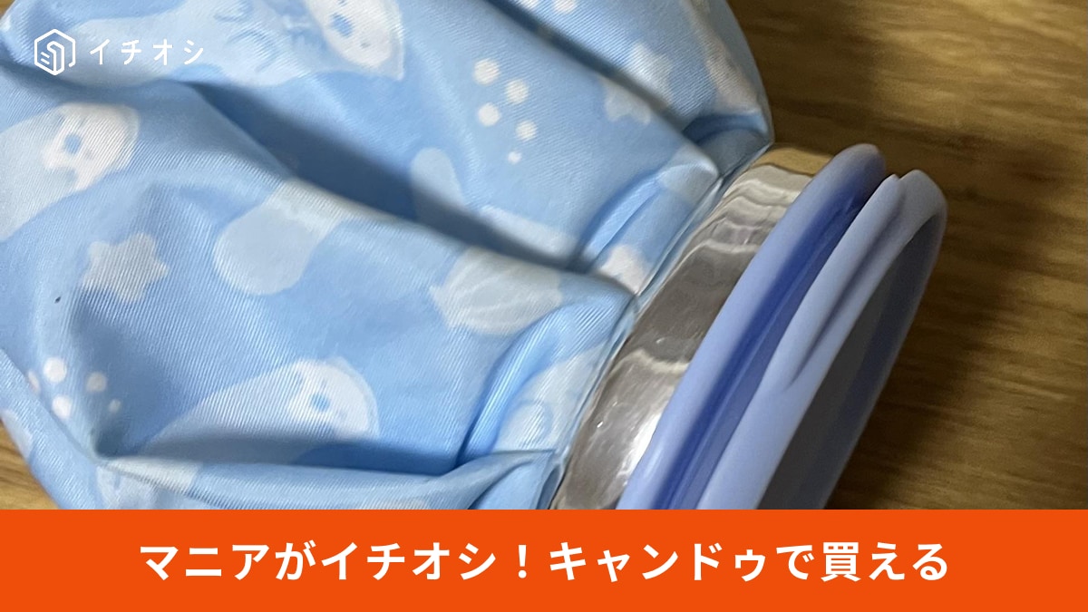 期待以上のひんやり感！「レジャーにも使える」（30代女性）キャンドゥの冷感グッズ「氷のう」
