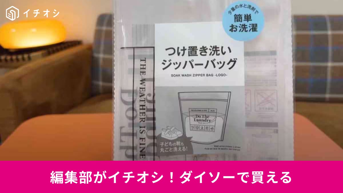 100均マニアも「やっと入手した名品」！ダイソー「争奪戦起きてる」洗濯グッズとは？