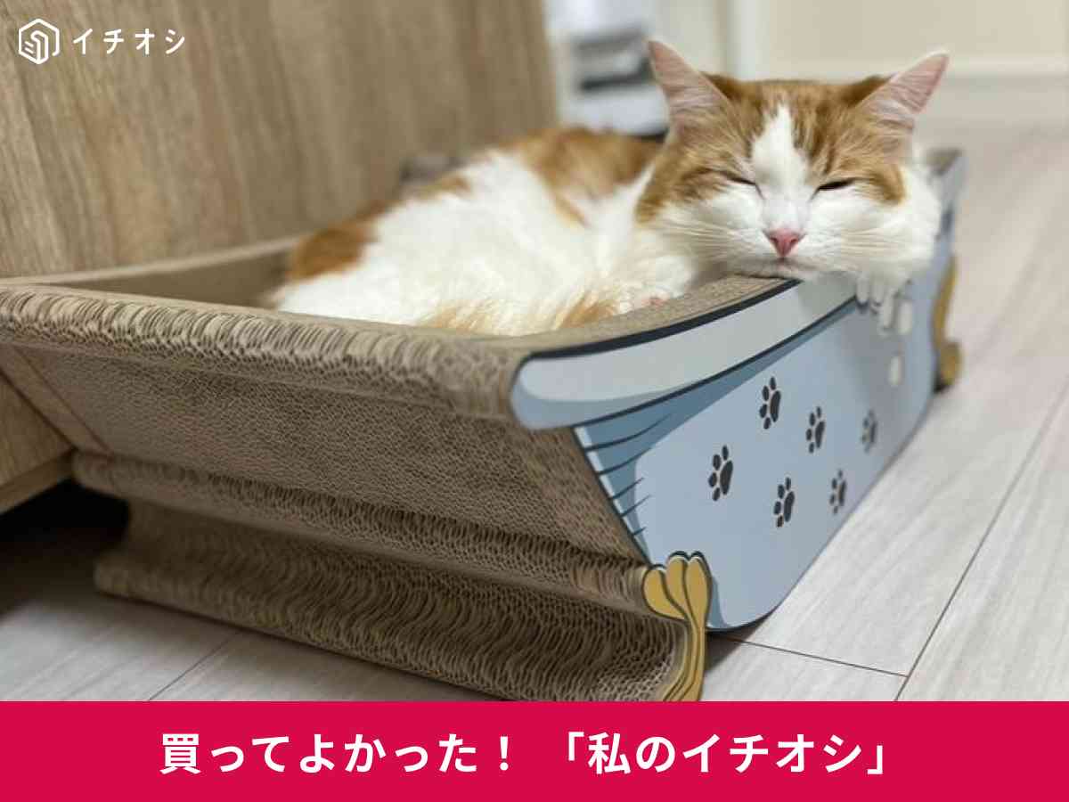 寝心地最高！「猫の爪とぎ 【 バスタブ 】」がくつろぎスペースに