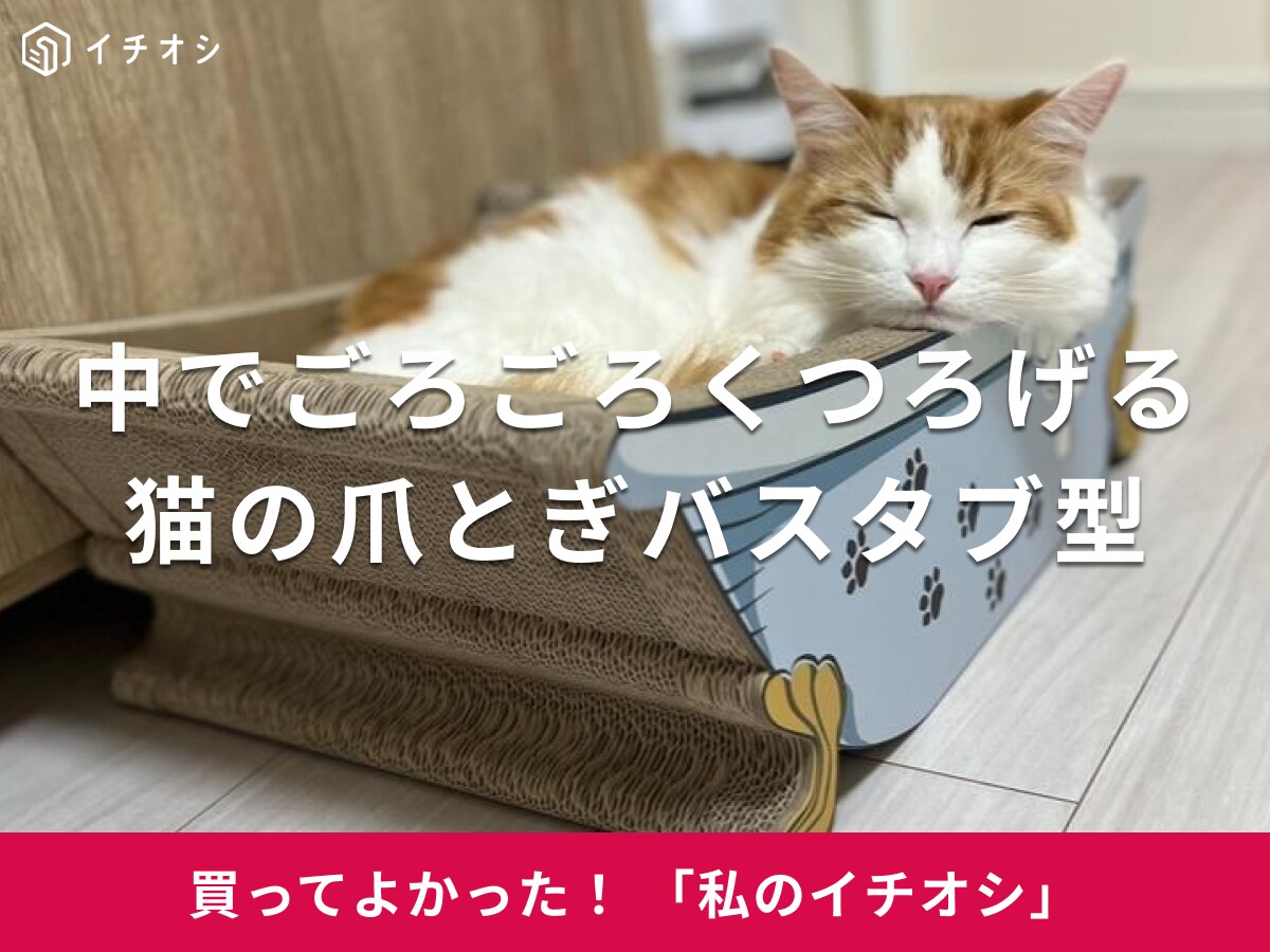 【オーサムストア】「猫の爪とぎ」は寝心地最高！マンチカン・ロイちゃんはゴハンのとき以外ずっと離れたくにゃい（20代女性）