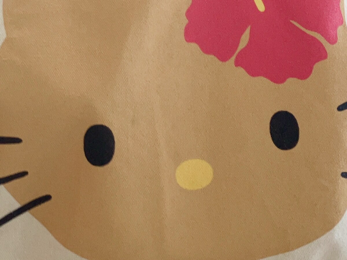 【ハローキティ】グアム限定品を爆買いですごい値段に！“推しは推せるときに推せ”精神で子供と一緒にグッズ集め（30代女性）