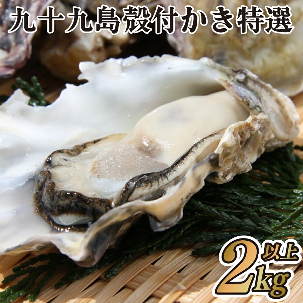 長崎県佐世保市「九十九島殻付きかき特選」