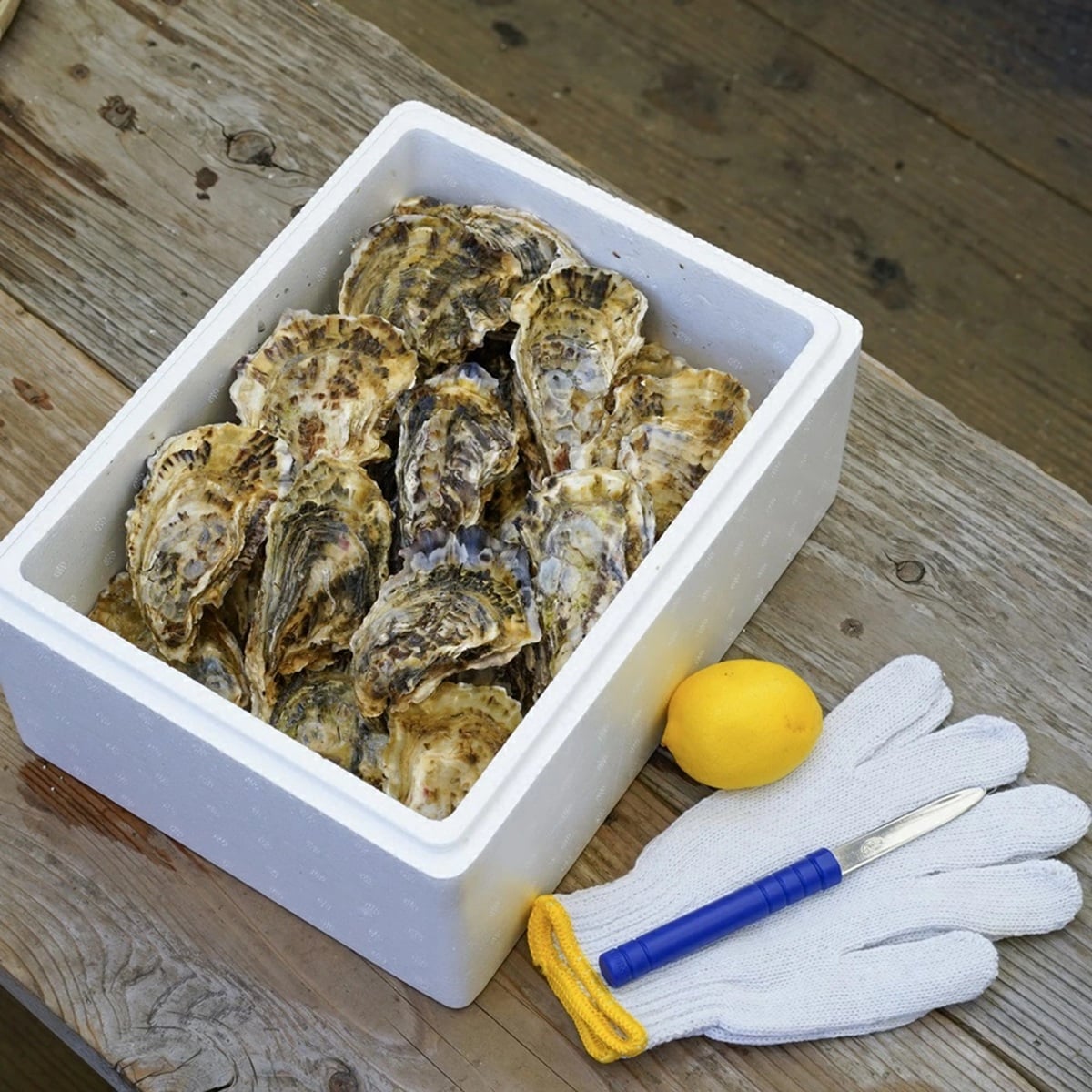 画像出典：楽天市場