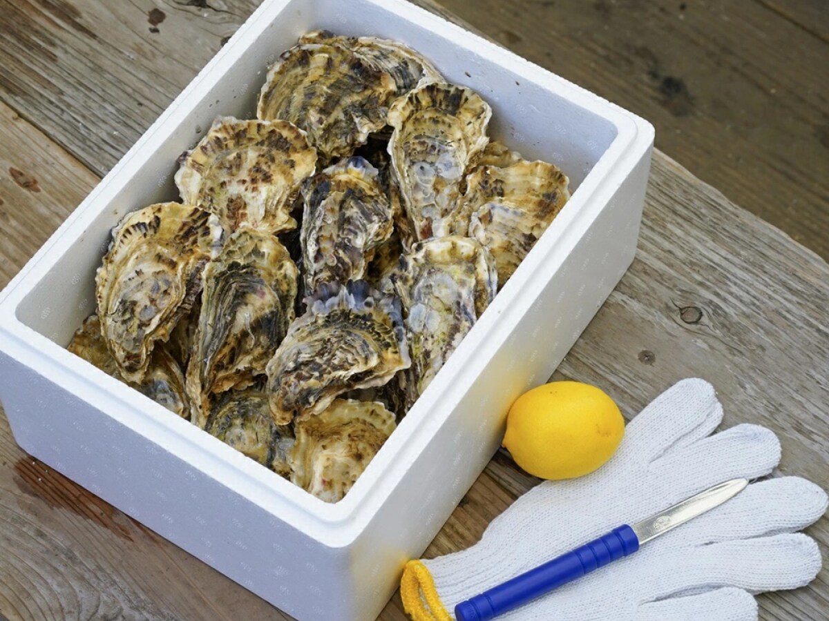 【ふるさと納税おすすめ】産直の岩ガキにレモンを絞って大満足！長崎県佐世保市「九十九島 殻付きかき 特選」（30代・女性）