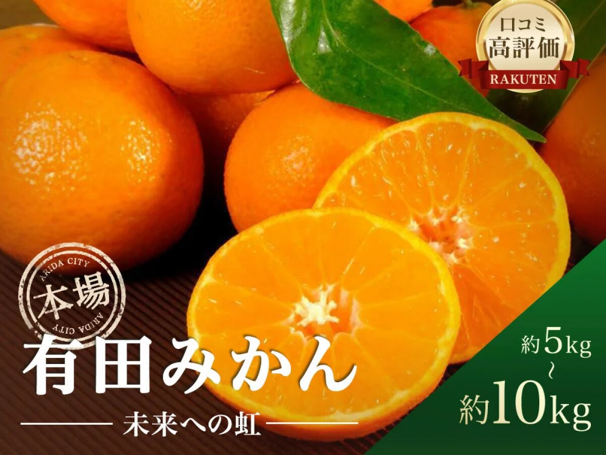 【ふるさと納税おすすめ】甘くて美味しくて家族全員大好き！和歌山県有田市の有田みかん「未来への虹」（30代・女性）