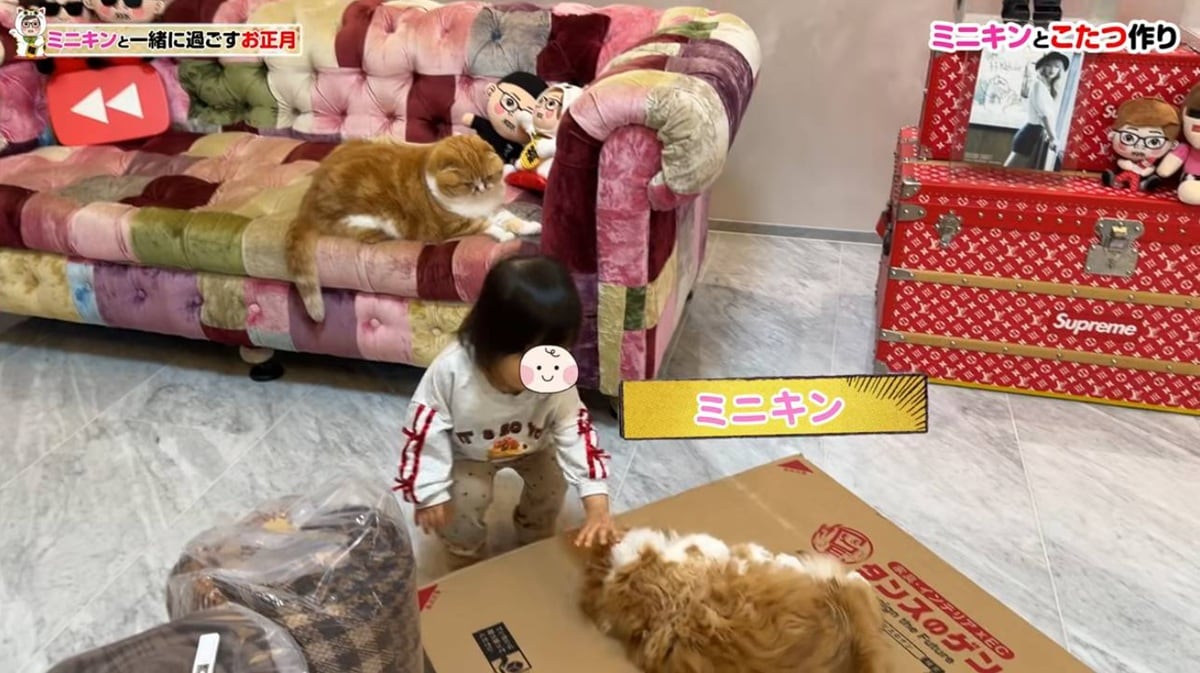 画像出典：YouTube(https://youtu.be/cnExcs72E50?si=q2mVNpUjKor8tojI)