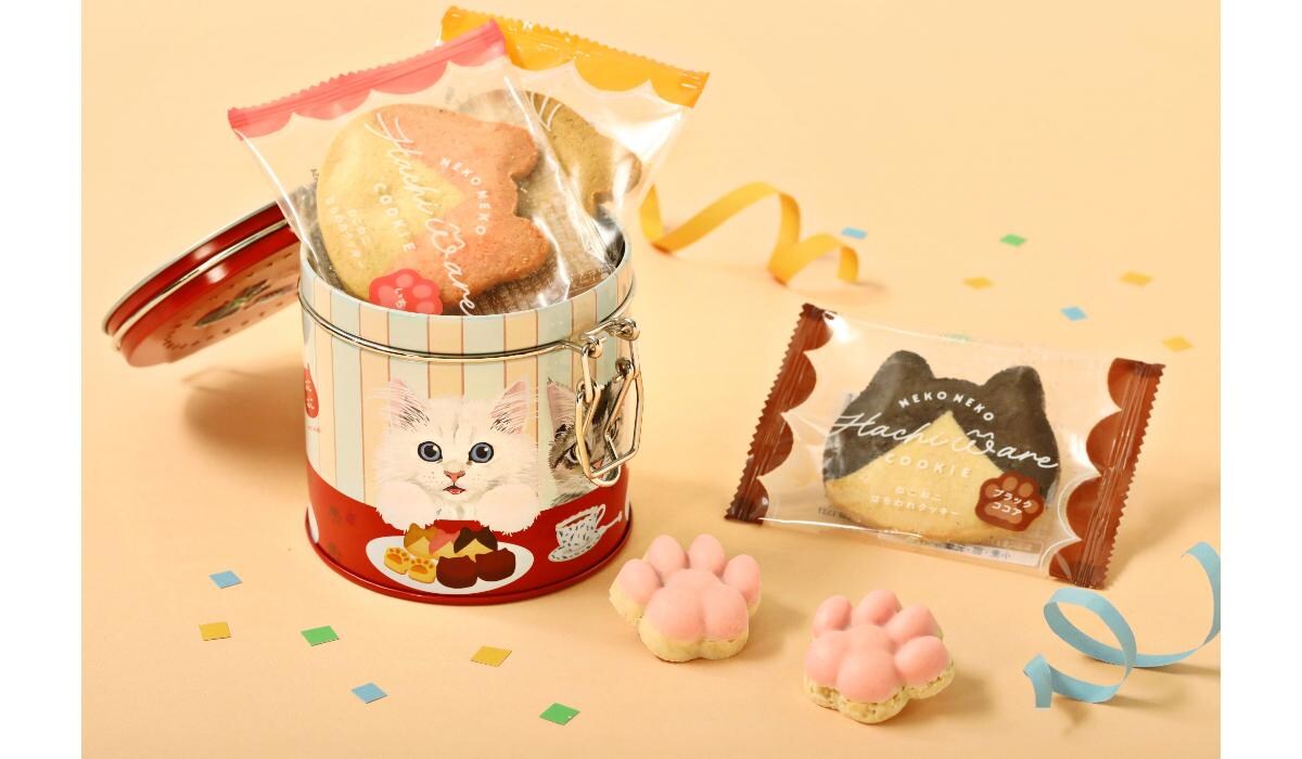 出典：PR TIMES（https://prtimes.jp/main/html/rd/p/000001185.000035909.html）