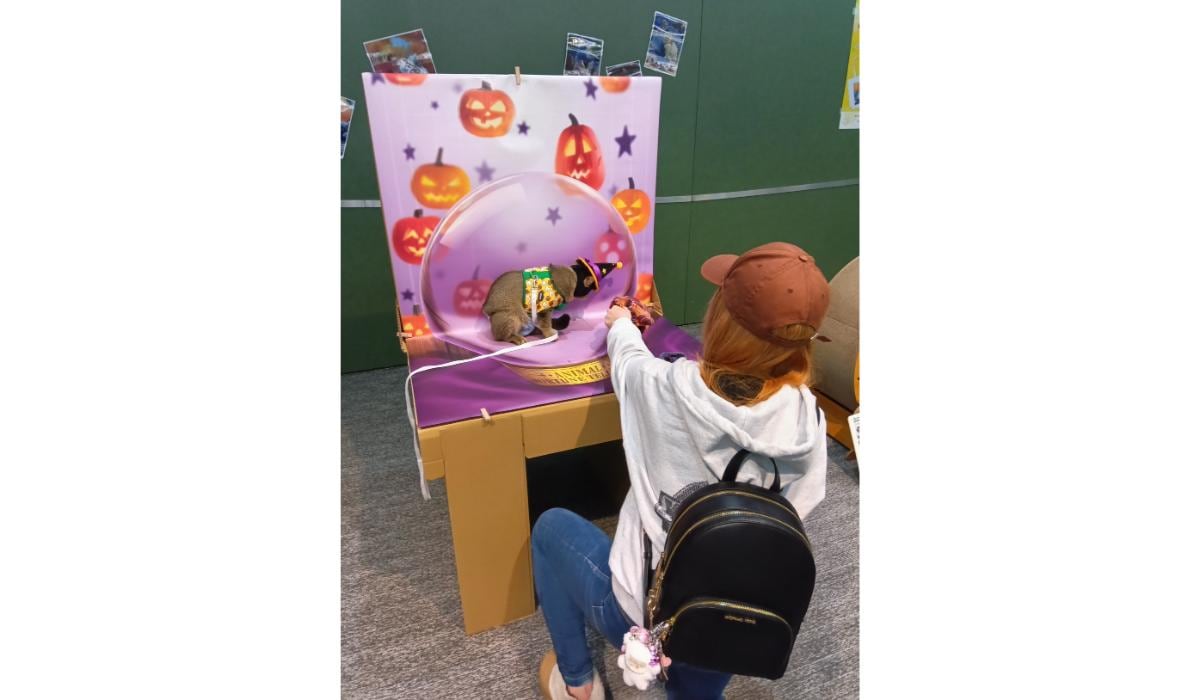 出典：PR TIMES（https://prtimes.jp/main/html/rd/p/000000012.000125439.html）