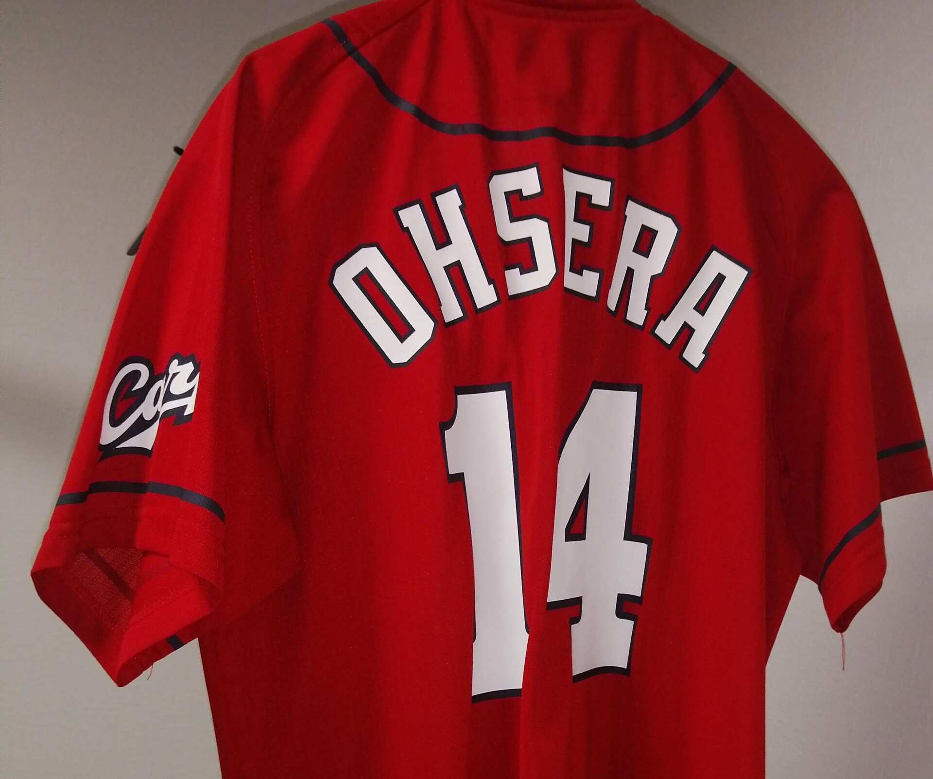 【プロ野球・広島カープ】甲子園での試合観戦のため新幹線で遠征！人生に彩りを与えてくれる最高の地元チーム（30代男性）