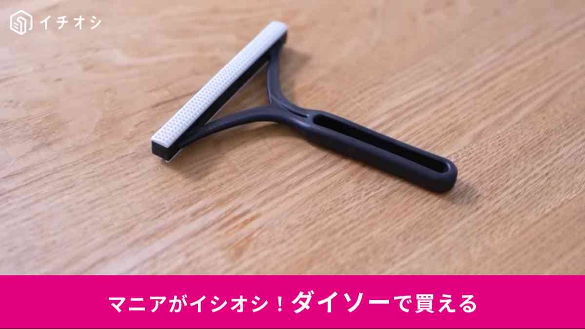 ダイソーのエチケットブラシ