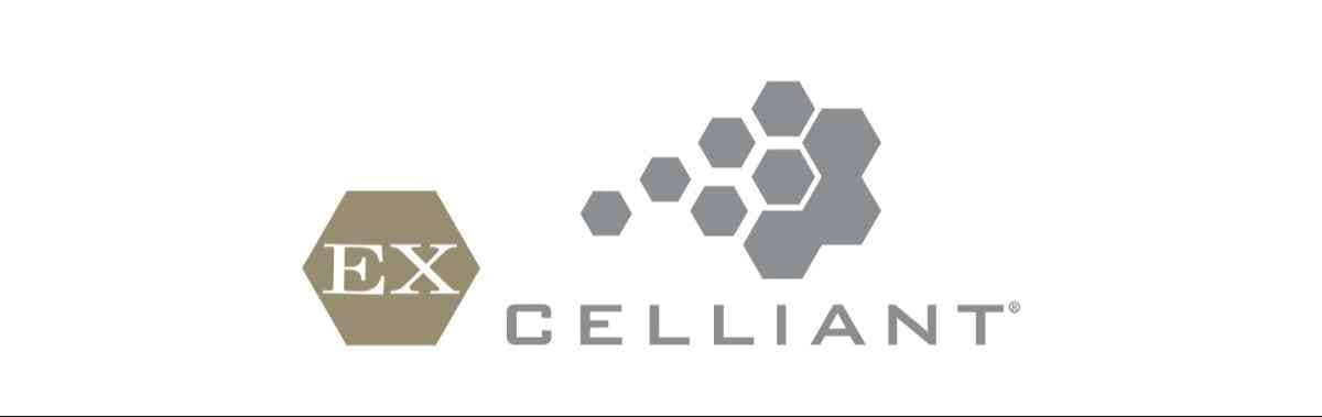 トップバリュのリカバリーウェア「ＥＸセリアント」