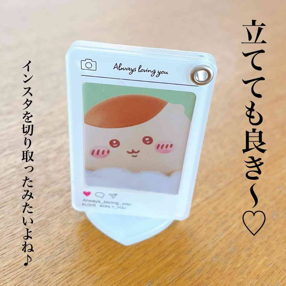 インスタ風2wayキーホルダー